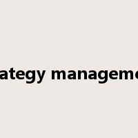 strategy management是什么意思