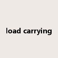 load carrying是什么意思