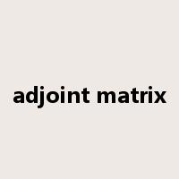 adjoint matrix是什么意思