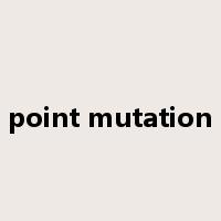 point mutation是什么意思