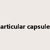 articular capsule是什么意思