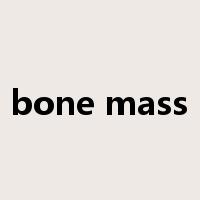 bone mass是什么意思