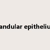 glandular epithelium是什么意思