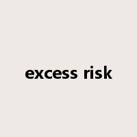 excess risk是什么意思