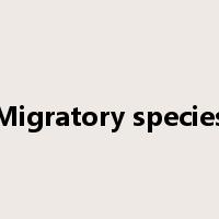 Migratory species是什么意思