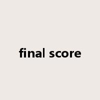 final score是什么意思