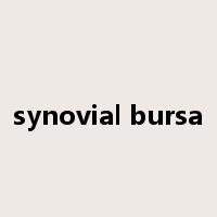 synovial bursa是什么意思