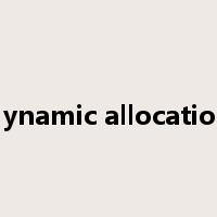 dynamic allocation是什么意思