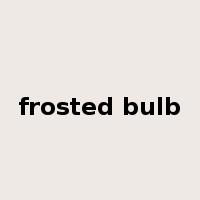 frosted bulb是什么意思