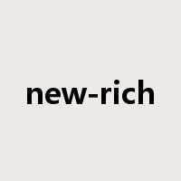 new-rich是什么意思