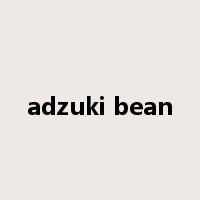 adzuki bean是什么意思
