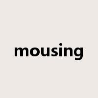 mousing是什么意思