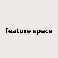 feature space是什么意思