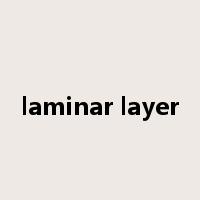 laminar layer是什么意思