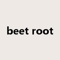 beet root是什么意思