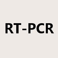 RT-PCR是什么意思