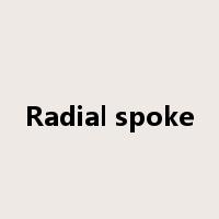 Radial spoke是什么意思