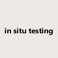 in situ testing是什么意思