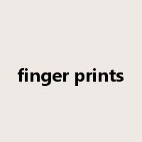finger prints是什么意思