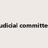 judicial committee是什么意思