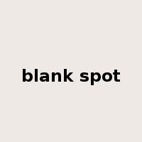blank spot是什么意思