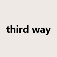 third way是什么意思