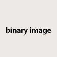binary image是什么意思