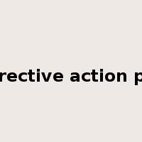 corrective action plan是什么意思