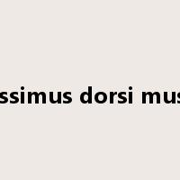 latissimus dorsi muscle是什么意思
