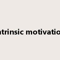 intrinsic motivation是什么意思