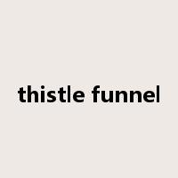thistle funnel是什么意思