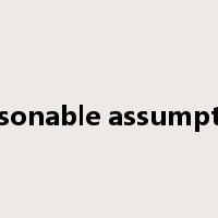 reasonable assumption是什么意思