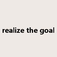 realize the goal是什么意思
