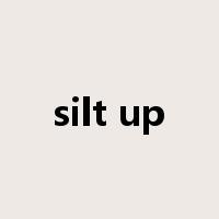 silt up是什么意思