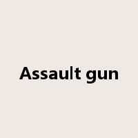 Assault gun是什么意思