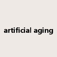 artificial aging是什么意思