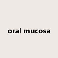 oral mucosa是什么意思