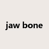 jaw bone是什么意思