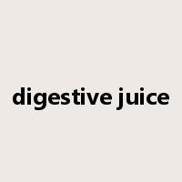 digestive juice是什么意思