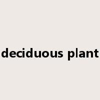 deciduous plant是什么意思