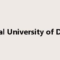 Technical University of Denmark是什么意思