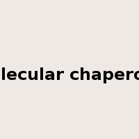 molecular chaperone是什么意思