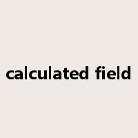 calculated field是什么意思
