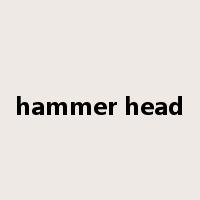 hammer head是什么意思