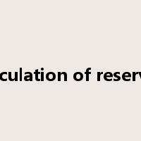calculation of reserves是什么意思