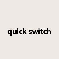 quick switch是什么意思