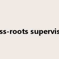 grass-roots supervision是什么意思