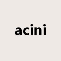 acini是什么意思