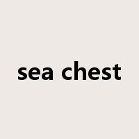 sea chest是什么意思