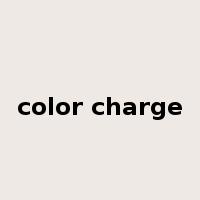 color charge是什么意思